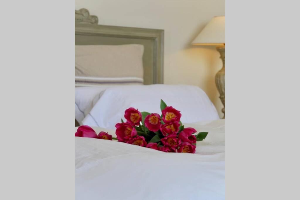 Bord De Mer - Ac, Wifi, Chic, Sea View, Beach 2 Minutes Walk Antibes Exteriér fotografie